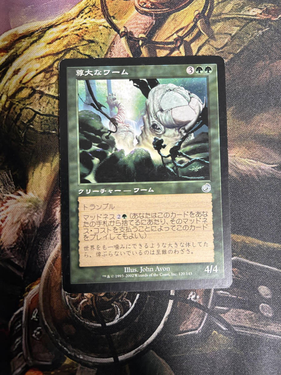 MTG　尊大なワーム　日本語版　2枚まで