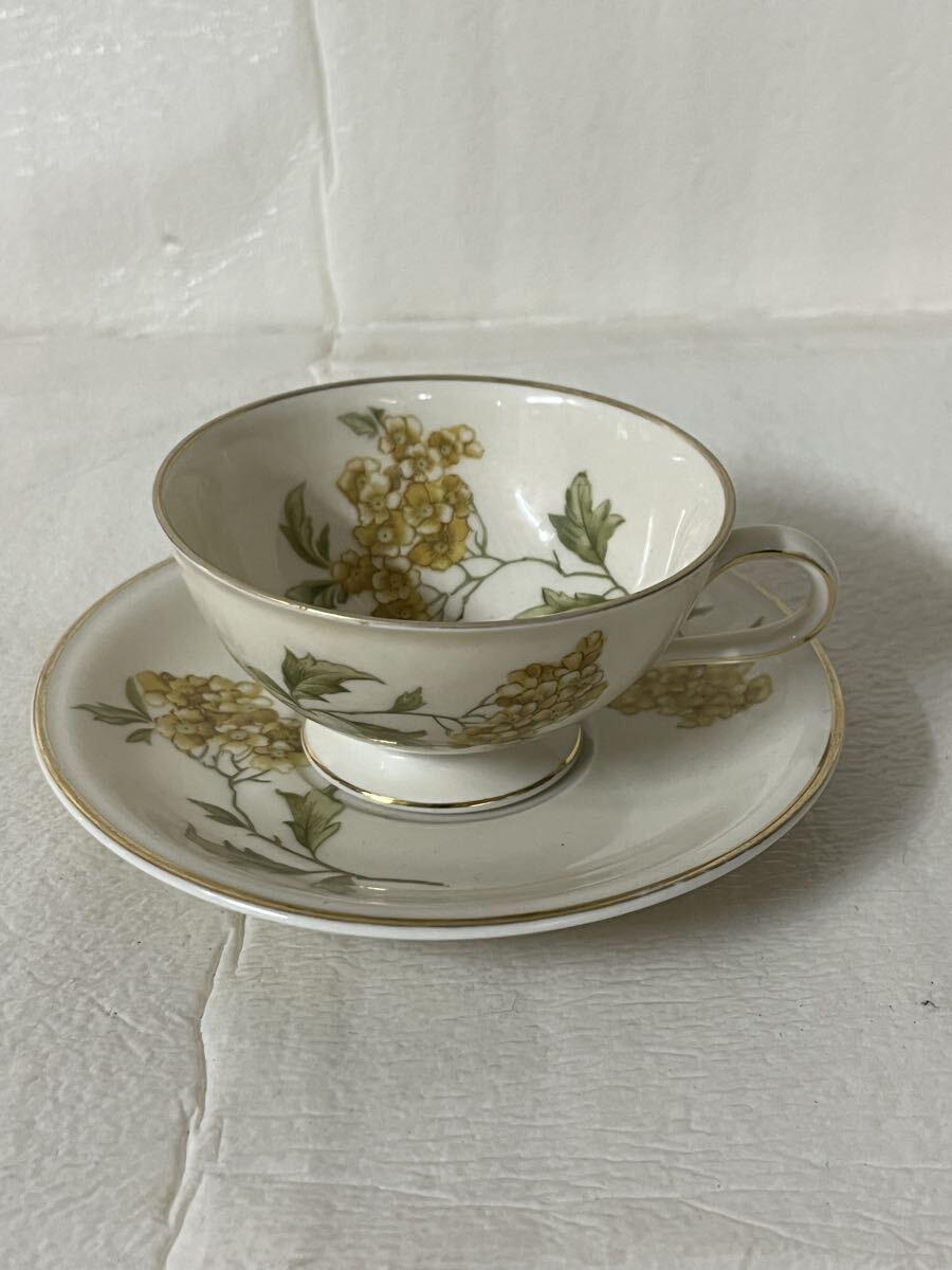 Hutschenreuther フッチェンロイター ドイツ カップ＆ソーサー 洋食器 金彩 アンティーク ヴィンテージ 陶器