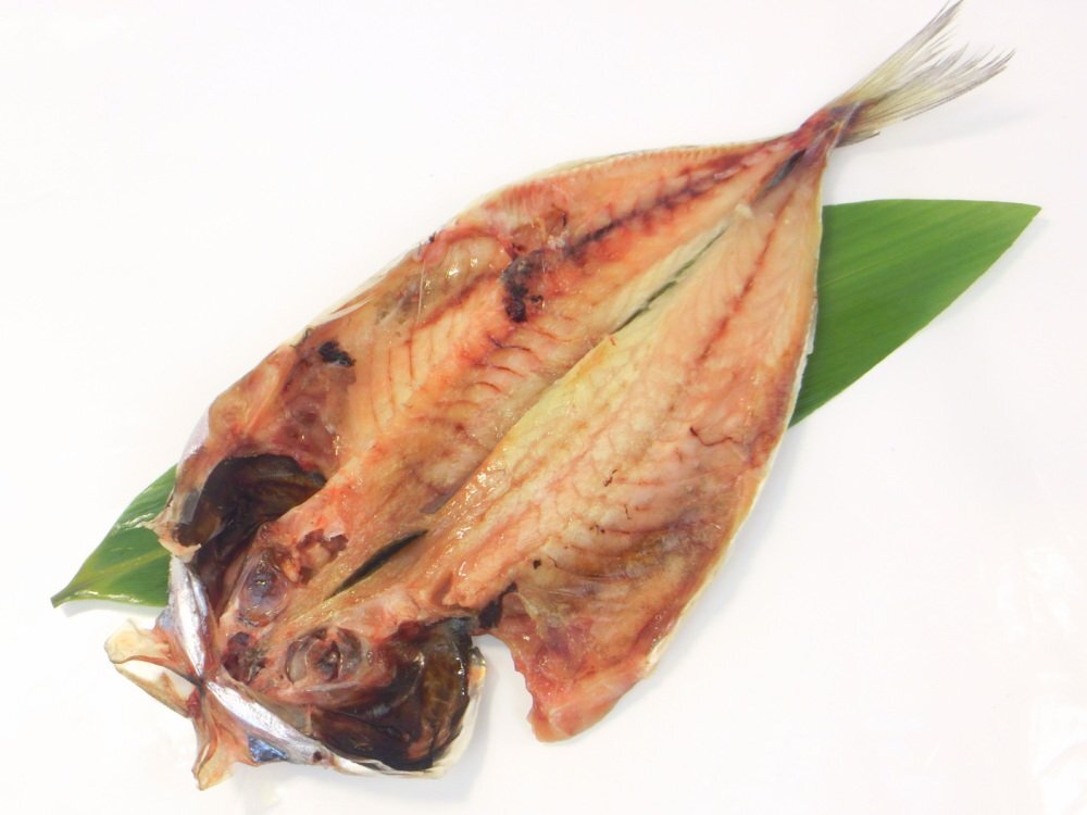 【Max】特大！脂の乗った真鯵の干物 約25cm前後 肉厚　あじの開き　干物　アジ