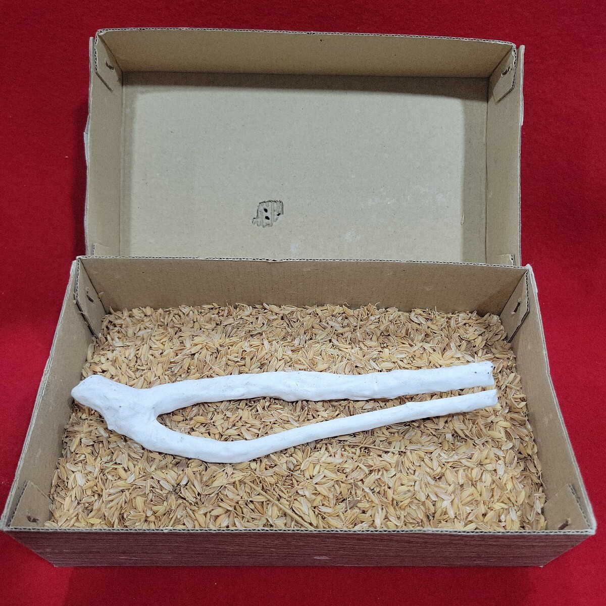 №27 未使用 保管品 茶道具 枝炭
