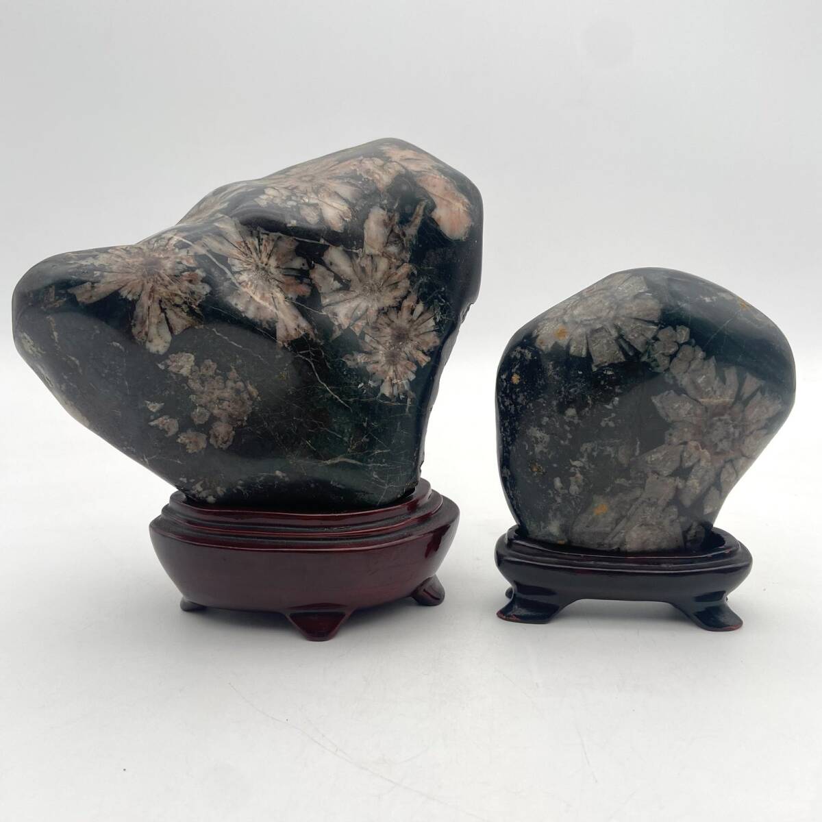 菊花石 1.58kg 鑑賞石 台座付 飾り石 天然石 Y176