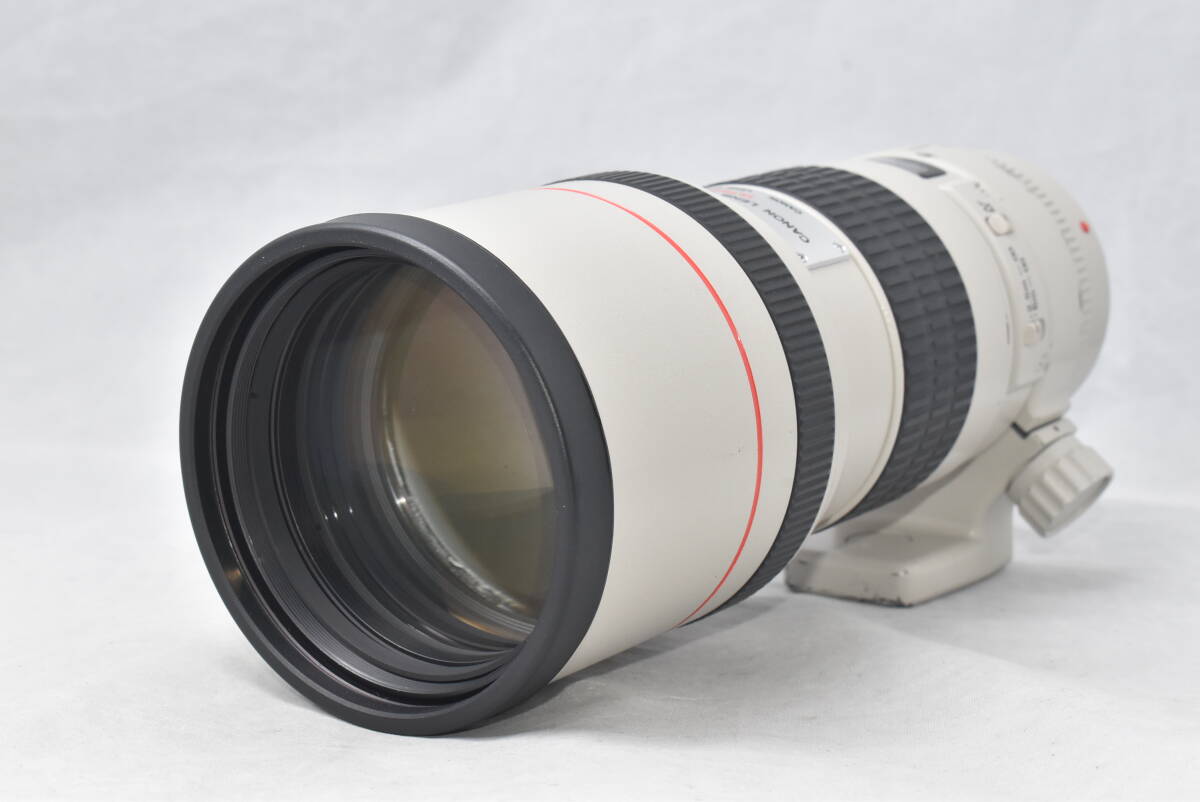 Canon キヤノン EF 300mm F4 L USM