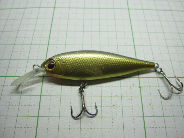 エバーグリーン　バンクシャッド