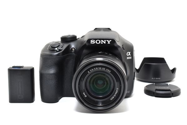 ソニー SONY α3000 ILCE-3000 E 18-55mm F3.5-5.6 OSS SEL1855 レンズ付き デジタルカメラ ミラーレス一眼 海外モデル #5986