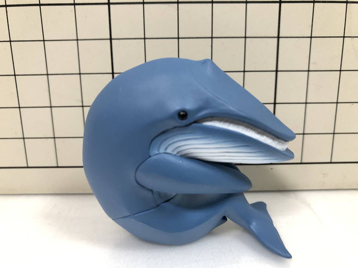 シロナガスクジラ　まちぼうけ11　ＢＡＮＤＡＩ　バンダイ　ガチャ フィギュア 鯨　くじら　ホエール　グッズ