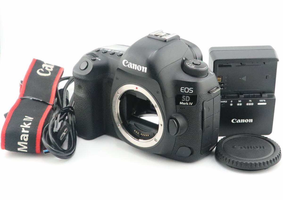 ★美品★ショット数:49,740枚★キヤノン CANON EOS 5D Mark IV ボディ 充電器付★　W0295＃4538