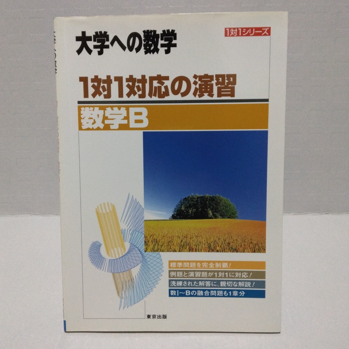 大学への数学 1対1対応の演習 数学B 新課程版 平成20年 東京出版編集部 1対1シリーズ 2008年