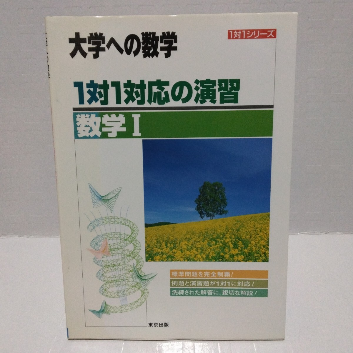 1対1対応の演習 数学Ⅰ 大学への数学 1対1シリーズ 新課程版 平成19年 東京出版編集部編 2007年
