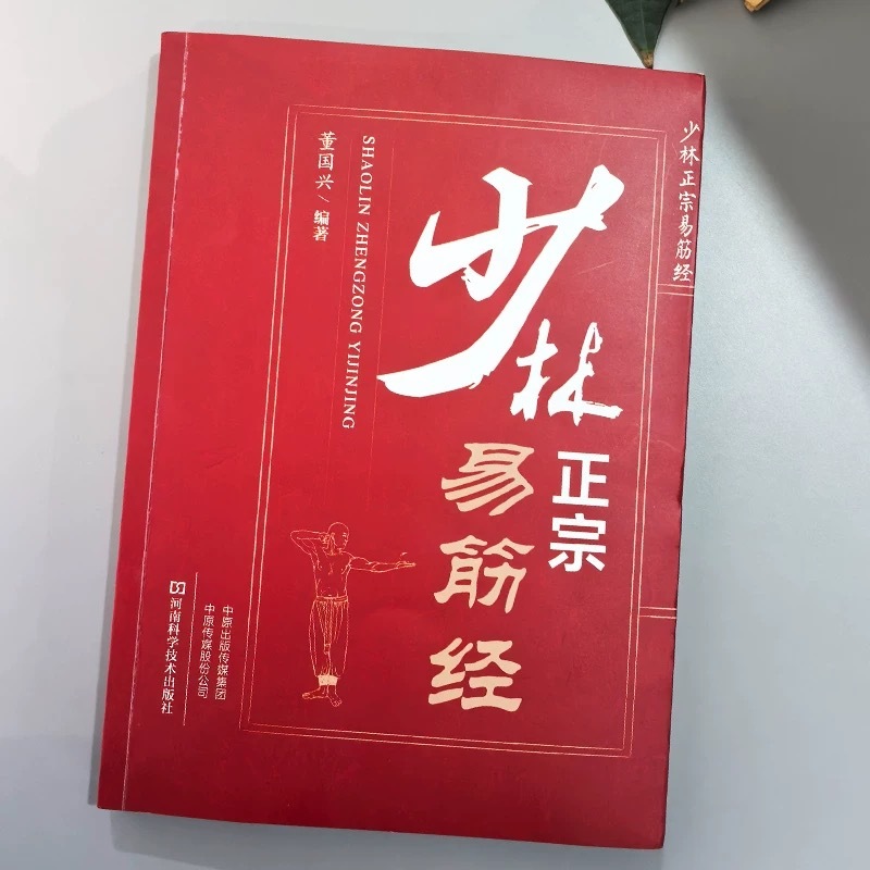 新品『少林正宗易筋経』308P 本場中国語版 功夫 気功 養生 少林拳 武術 専門書
