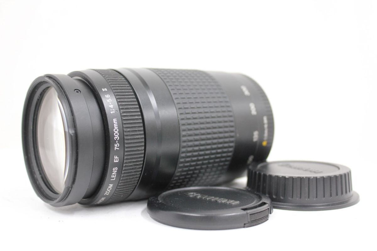 【返品保証】 キャノン Canon EF 75-300mm F4-5.6 II 前後キャップ付き レンズ e8854
