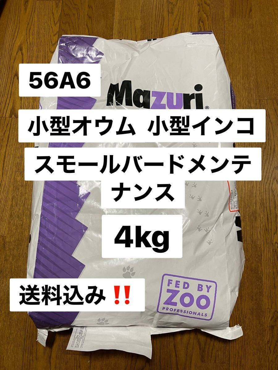 大特価！数量限定、無くなり次第終了　マズリ mazuri 56A6 4kg