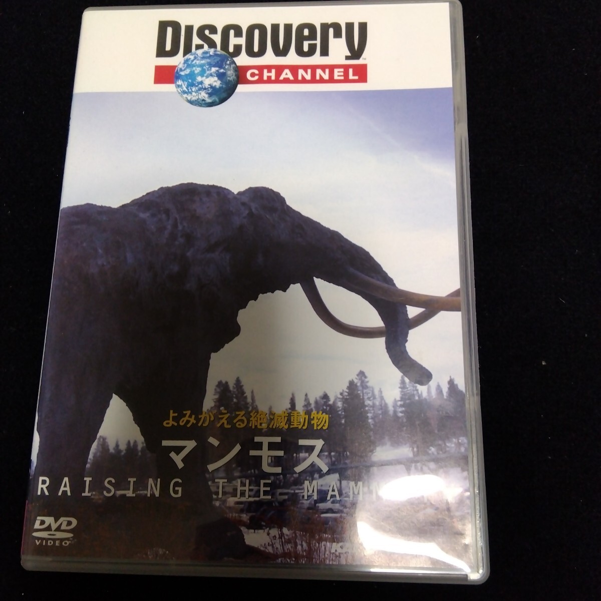 ディスカバリーチャンネル DVD よみがえる絶滅動物 マンモス 恐竜 動物 絶滅