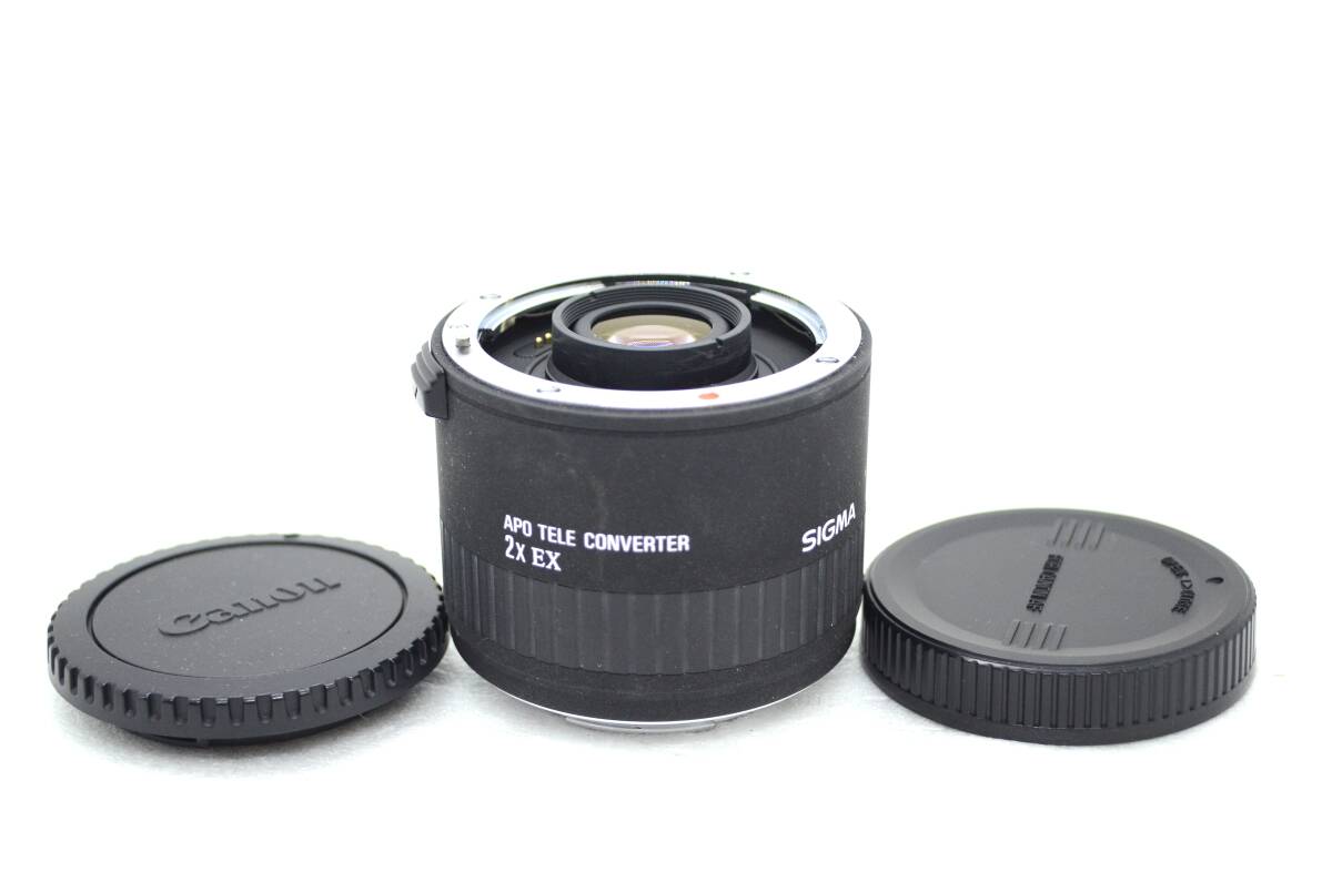 ★美品★ Sigma EX APO Tele Converter 2x Canon　シグマ　キャノン用　テレコンバーター