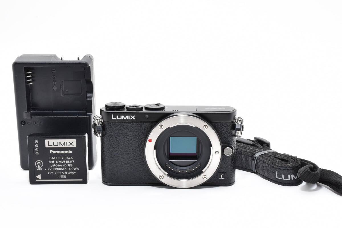 【極上美品】Panasonic パナソニック LUMIX ルミックス DMC-GM1 ミラーレス一眼 【動作確認済み】 #2796035