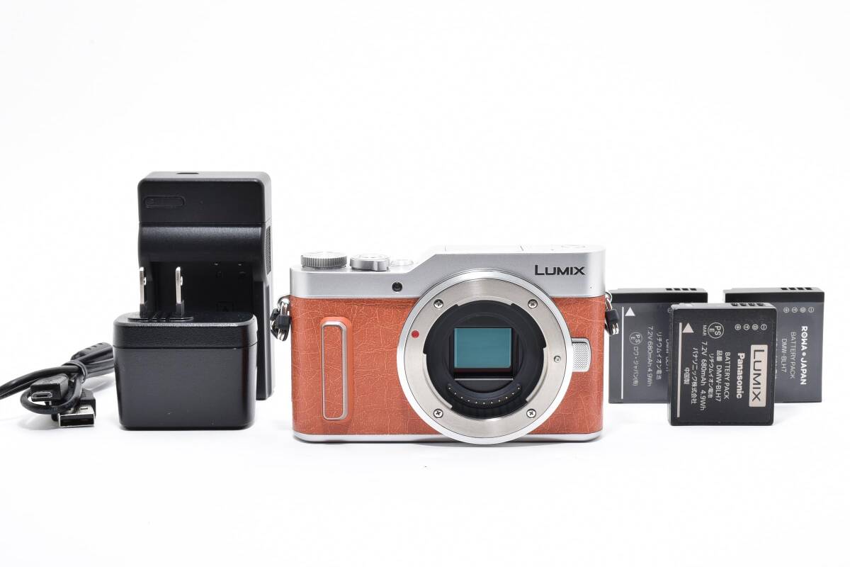 【極上美品】PANASONIC パナソニック LUMIX DC-GF10 ミラーレス一眼【動作確認済み】 #2796039