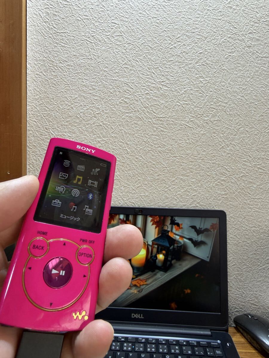 ソニー SONY WALKMAN NW-S764 バッテリー　充電不可能　