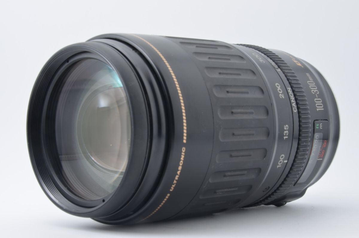 ★良品★キヤノン CANON EF 100-300mm F4.5-5.6 USM L3944 #33