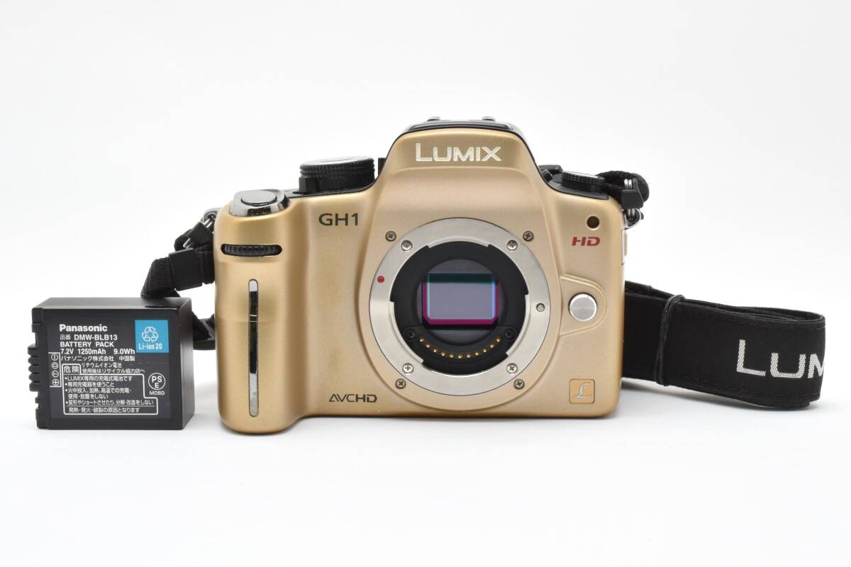 ★良品★ パナソニック PANASONIC DMC-GH1 ボディ OB3875 #565