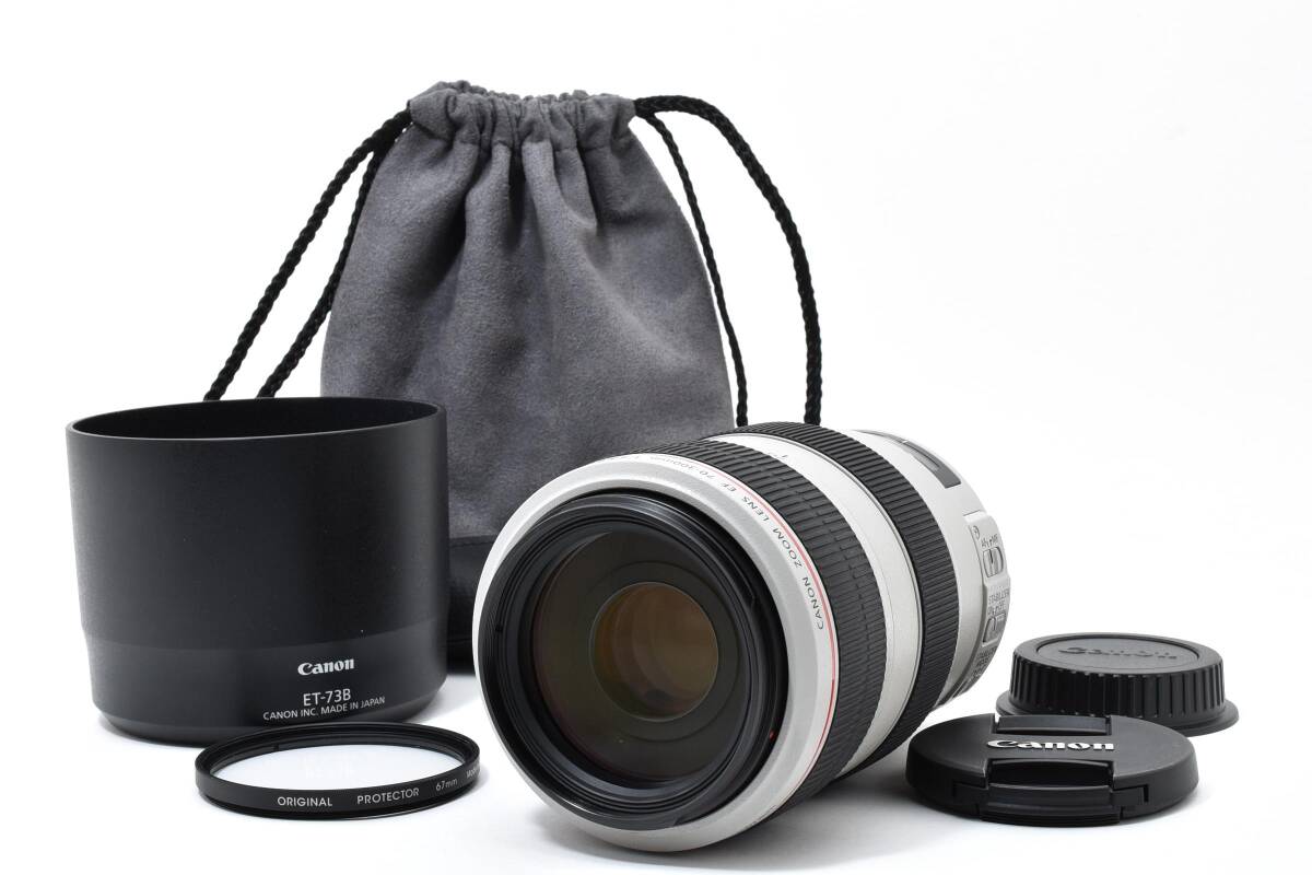 Canon EF 70-300mm f/4-5.6 L IS USM L0539