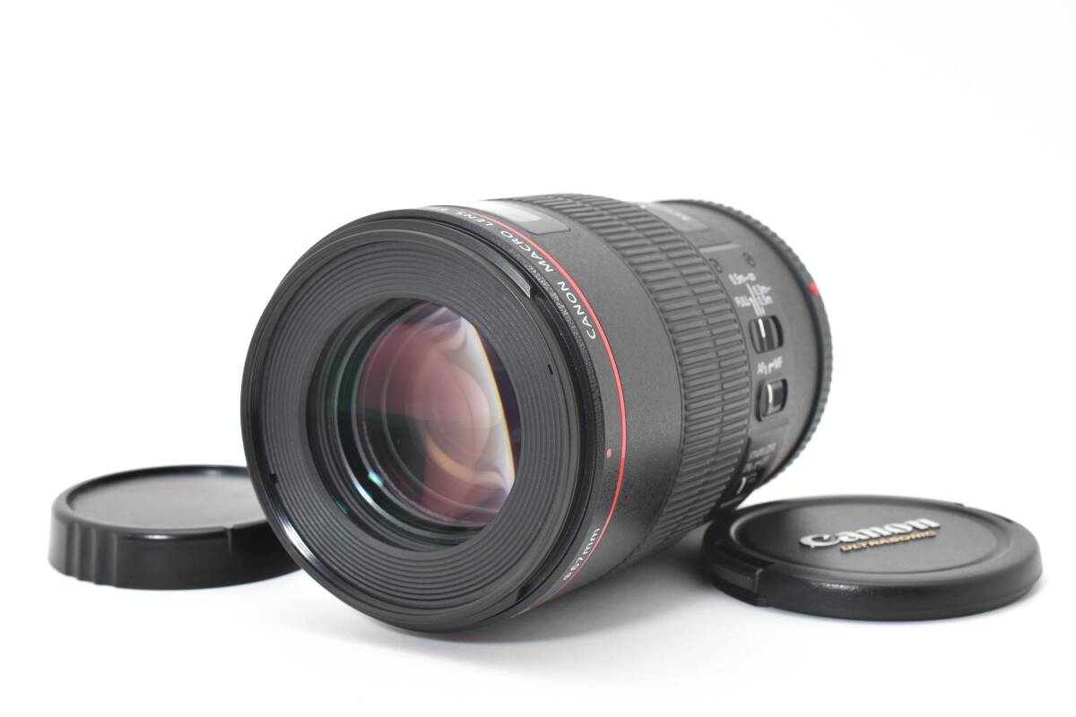 Canon EF 100mm f/2.8 L Macro IS USM L0587
