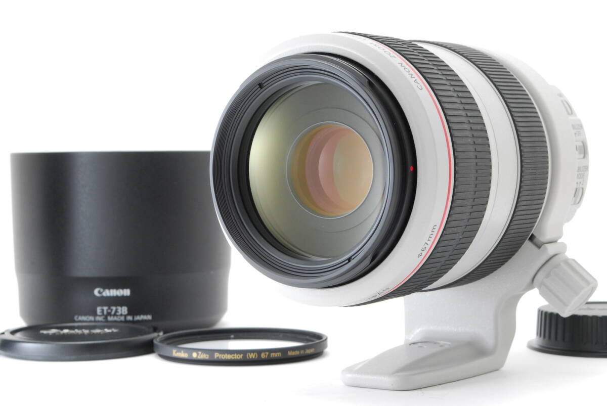 Canon EF 70-300mm f/4-5.6 L IS USM L0517