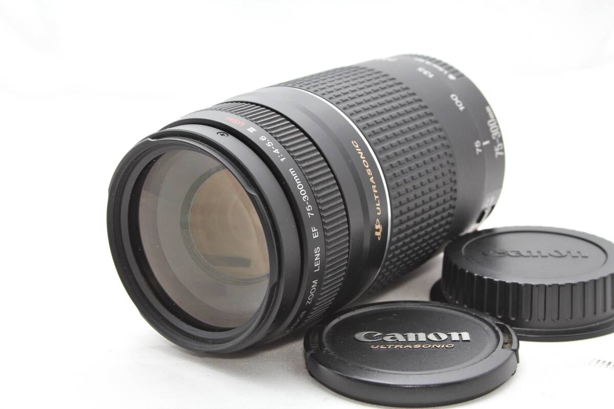 ★【動作確認済み 普通に使えます 初心者におすすめ】 Canon EF75-300mm F4-5.6 III USM ★ 人気の望遠レンズ ウルトラソニック搭載 最終型