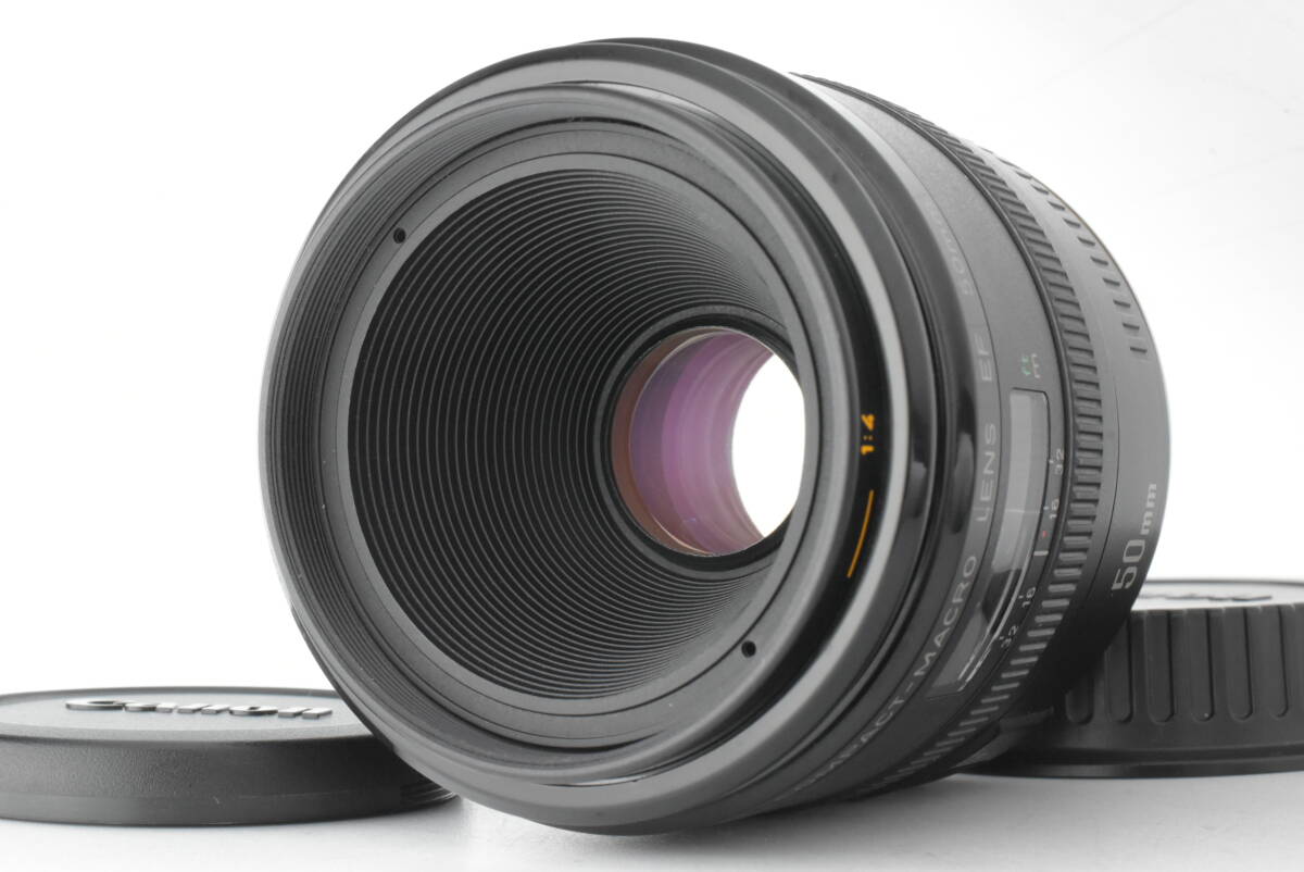 Canon EF 50mm F2.5 コンパクトマクロ 単焦点レンズ EFマウント AF 動作確認済 EF-1871