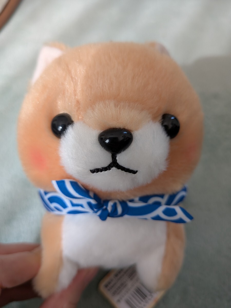 豆しば三兄弟 ぬいぐるみ 柴犬 まるたま