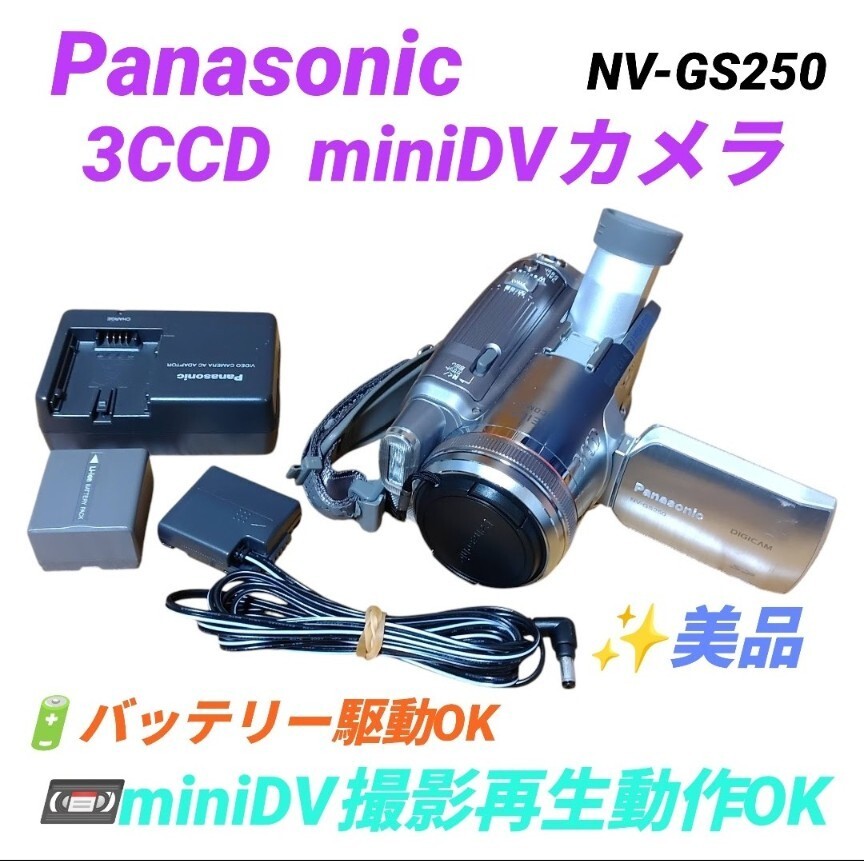 【miniDV撮影再生動作OKな美品・送料無料】パナソニック/Panasonic　3CCD　ハンディカム　miniDVカメラ　デジタルビデオカメラ　NV-GS250