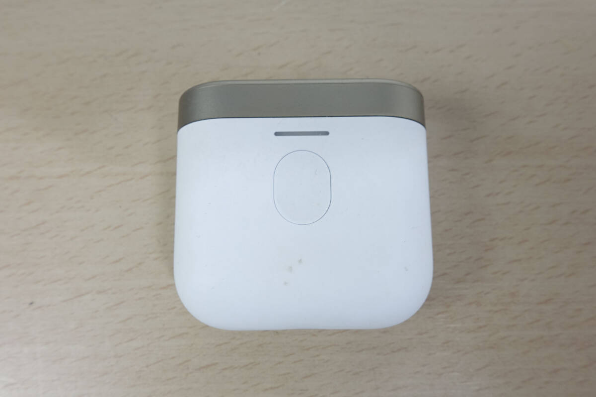 Bowers & Wilkins B&W PI7 充電ケースのみ