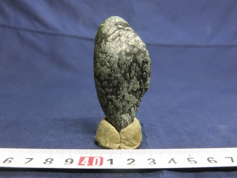 L1509 梅花石 天然石 60g 鉱物 鉱石 鑑賞石 水石 盆景