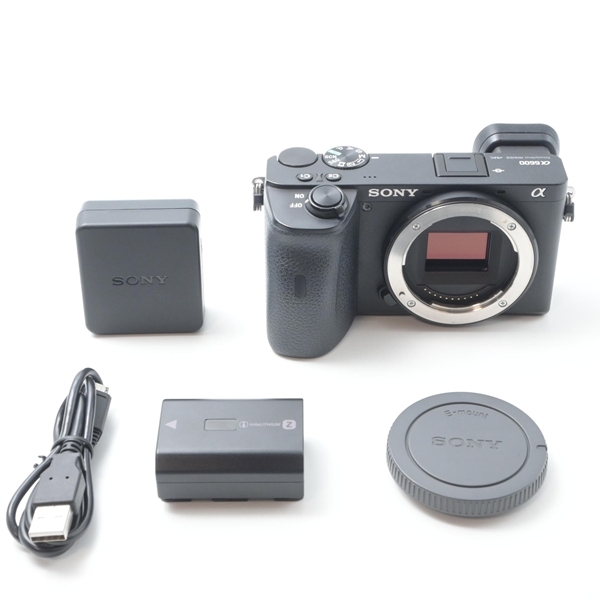 ソニー SONY α6600 ボディ ILCE-6600