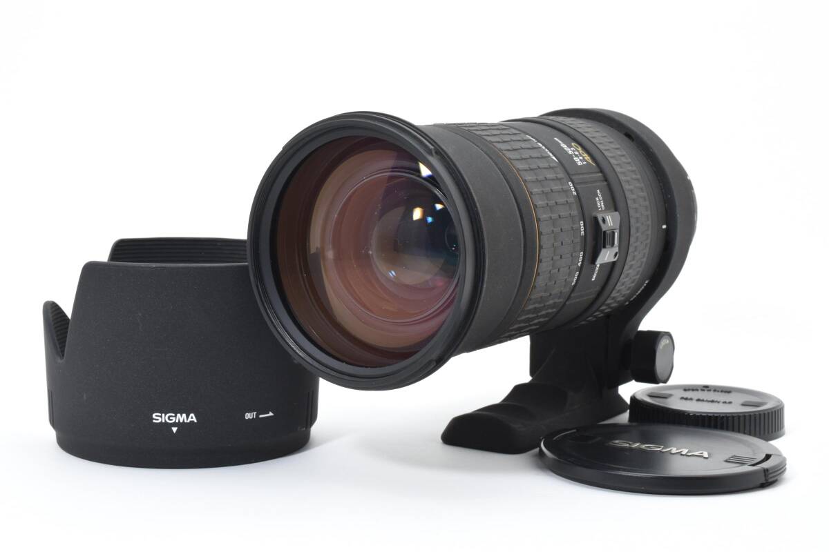 ★良品★シグマ SIGMA APO 50-500mm F4-6.3 EX DG HSM Canon キヤノン Y0344#H2583
