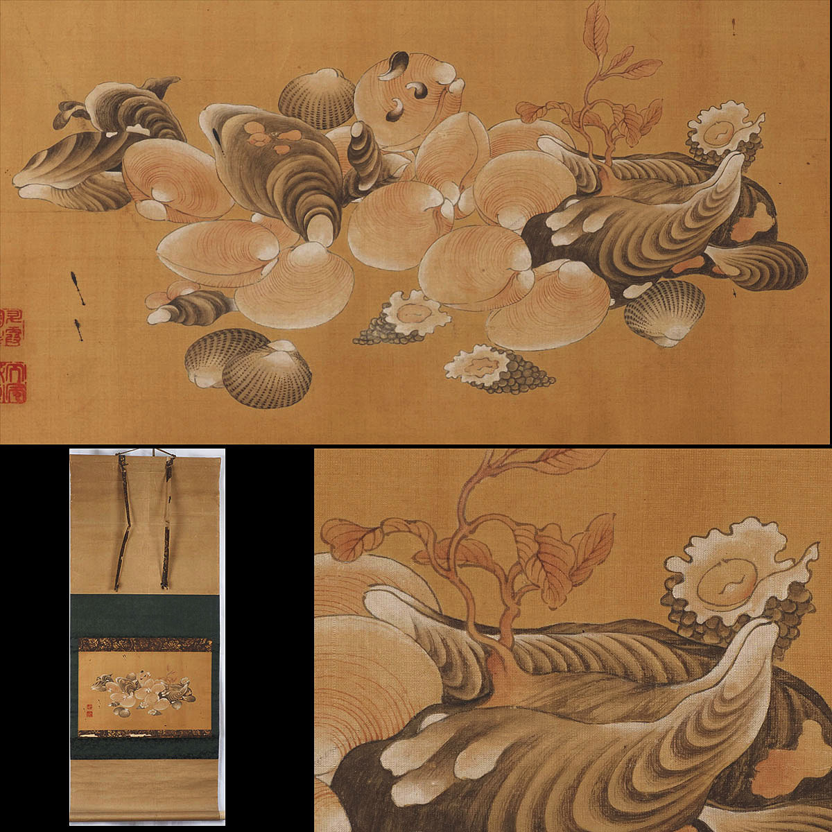【真作】XM41_10 旧家初出 在銘 貝之図 極細密 肉筆 絹本 掛軸 / 江戸期 古画 古筆 中国古玩 清代 明代 清朝期 