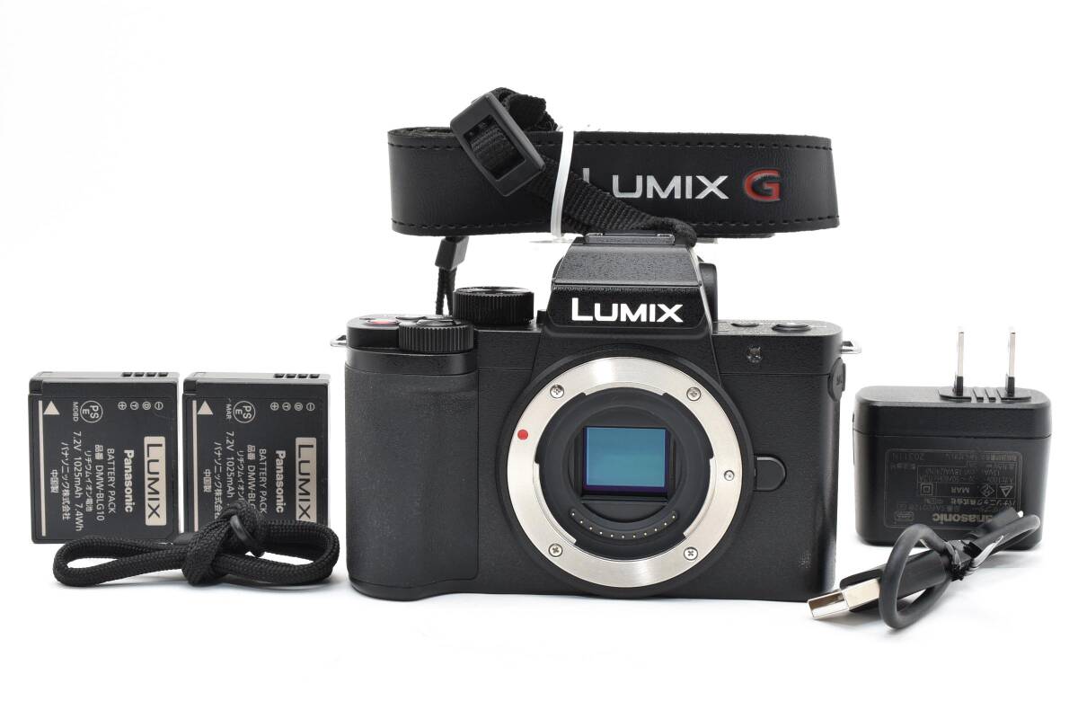 ★極上美品★ Panasonic パナソニック LUMIX DC-G100 