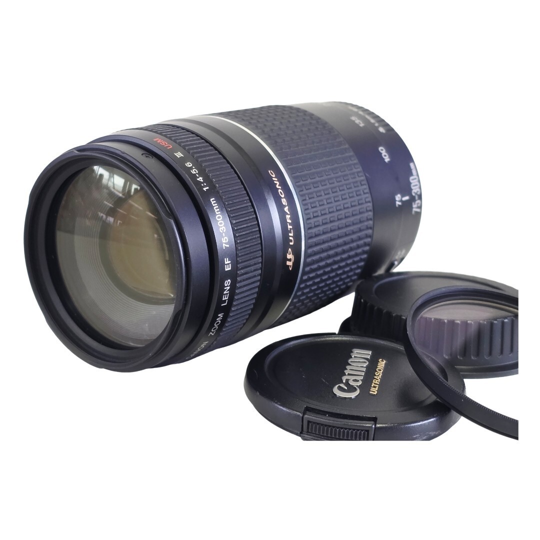 【美品】 CANON キャノン EF 75-300mm F4-5.6 III USM #21316