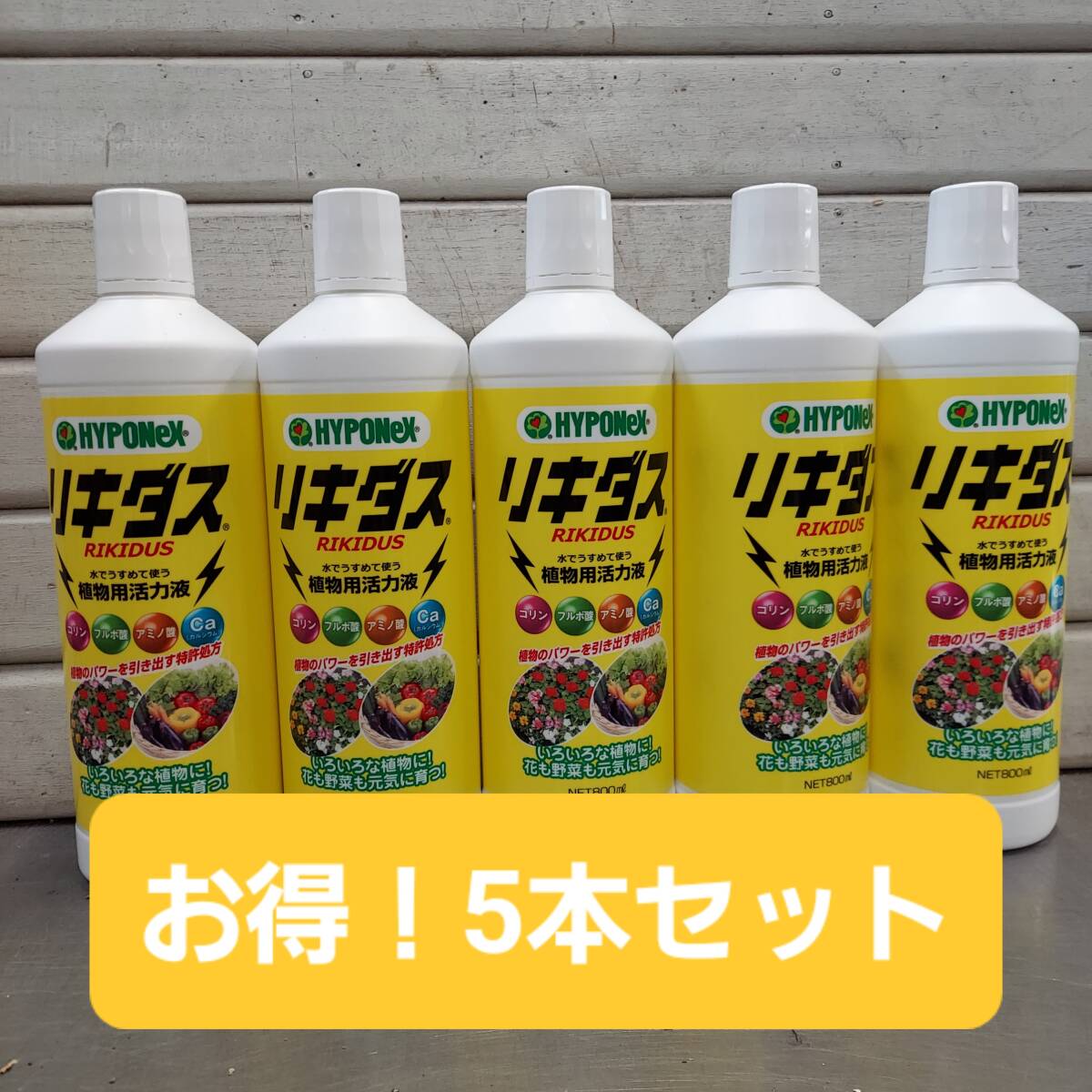 即決■おまとめお得！植物のパワーを引き出し元気に育てる！活力液 ハイポネックス リキダス８００ｍｌ ５本■コリン フルボ酸 アミノ酸