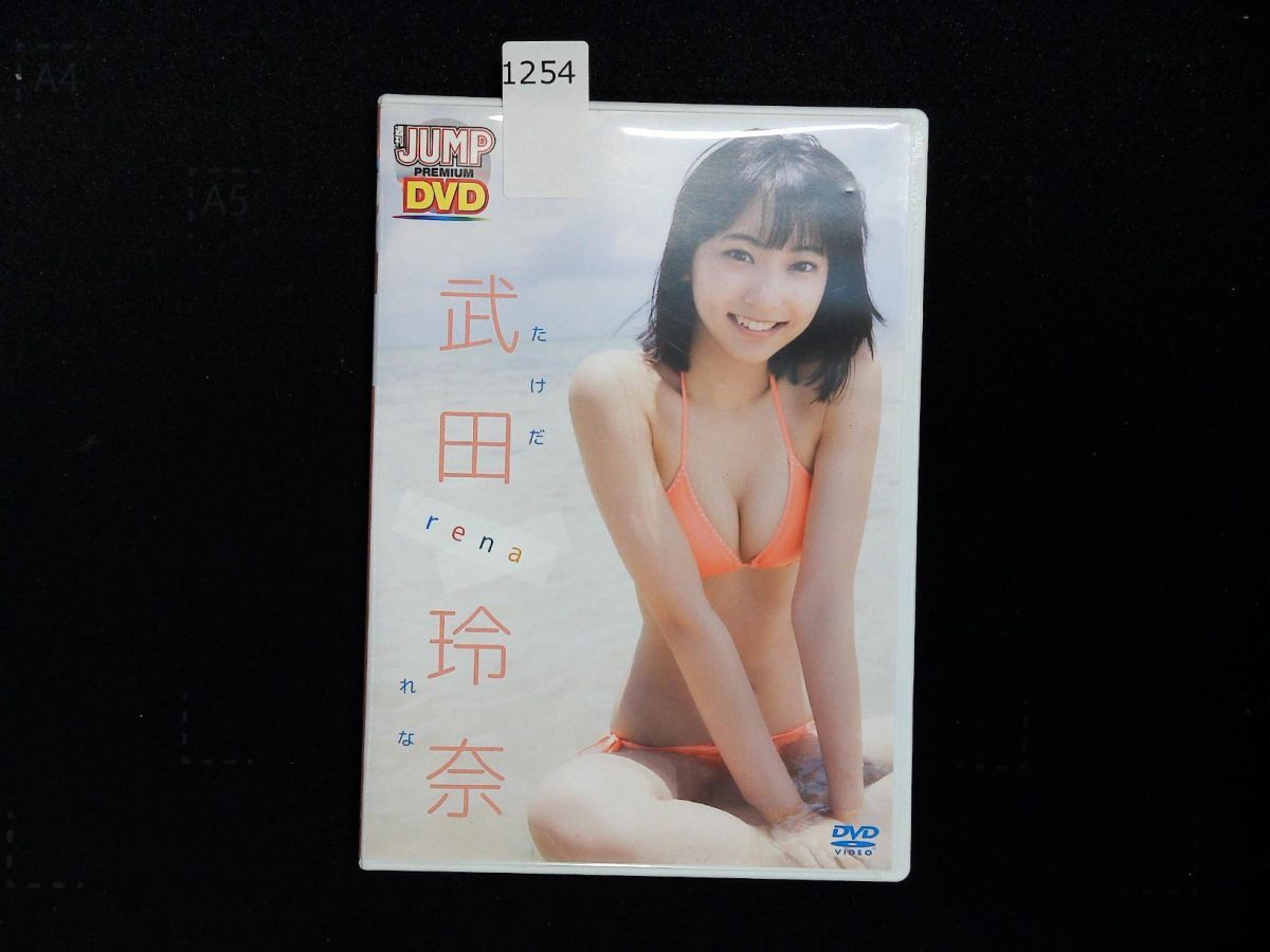 1254 DVD 武田玲奈『rena』WEEKLY YOUNG JUMP　グラビア