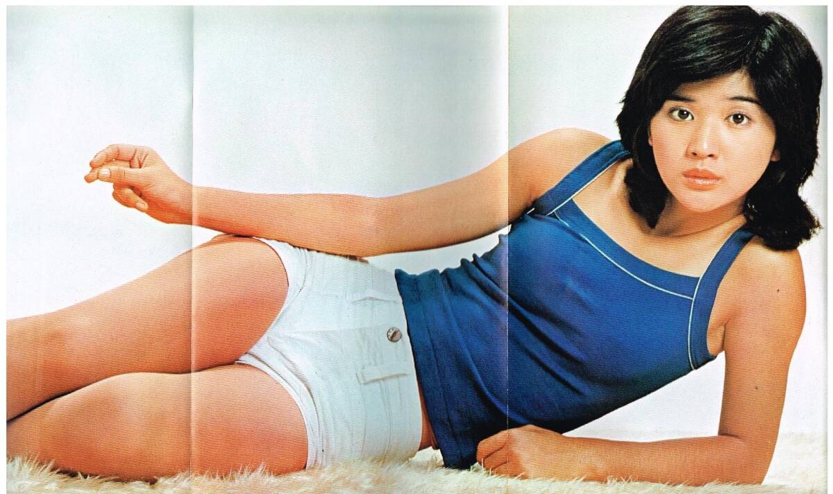 ｓ4021 平凡パンチ 1976年 昭和51年 桜田淳子 太田裕美 中野みちよ 瞳あい レイニ・フォックス バレリージーゲンフス マリタレドンド