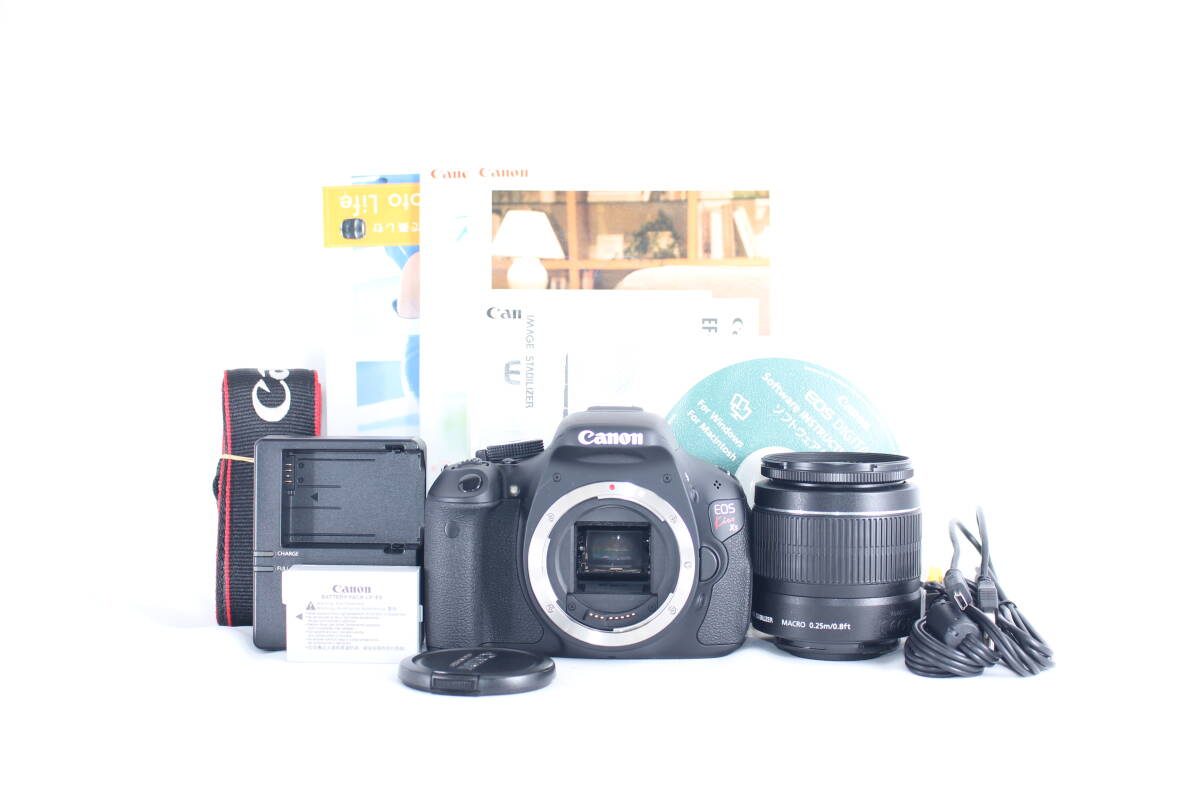 ★極上美品★キャノン CANON EOS KiSS X5 / EF-S 18-55mm F3.5-5.6 IS II ★完動★#Z362