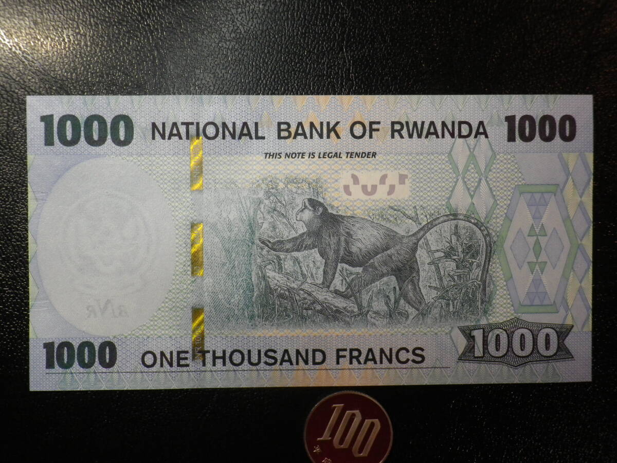 ルワンダ 2019年 1000Francs 未使用 p-396