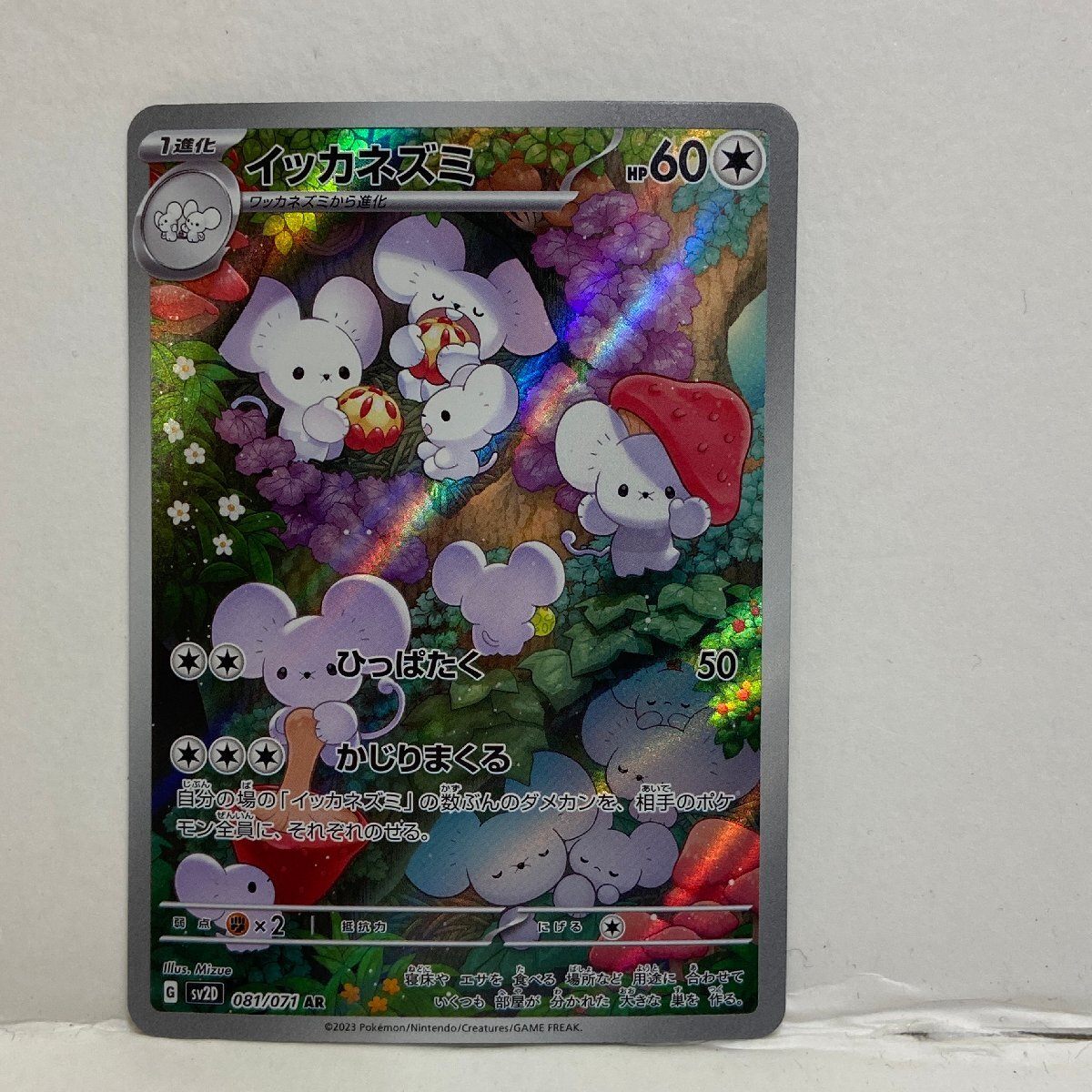 【362-30606k】◎1円スタート◎ポケモンカード　イッカネズミ【AR】 081/071 [SV2D]