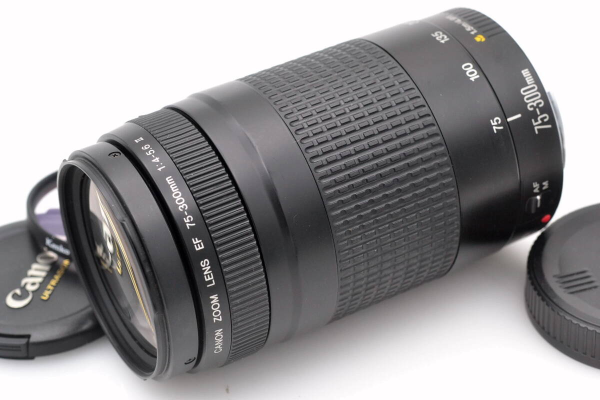キャノン Canon ZOOM LENS EF 75-300mm 4-5.6 II 望遠ズームレンズ フィルター付