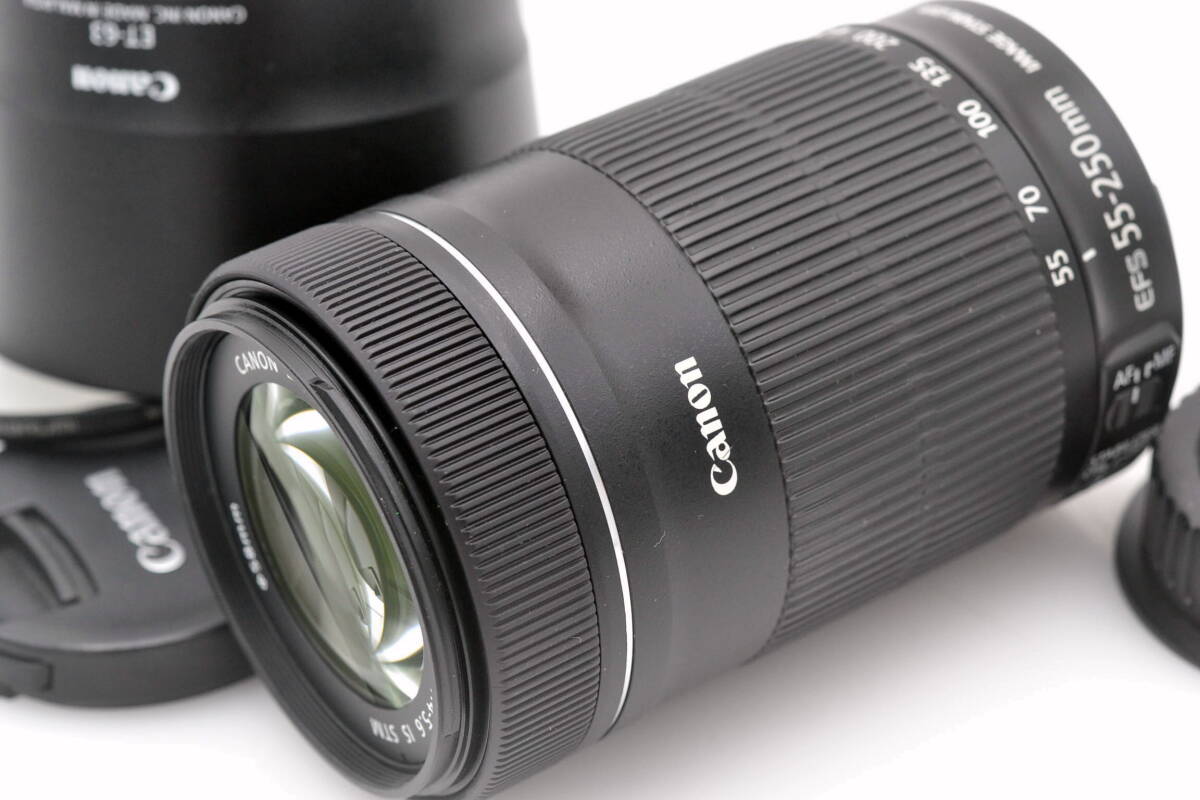 キャノン Canon ZOOM LENS EF-S 55-250mm 4-5.6 IS STM フィルター 純正フード付