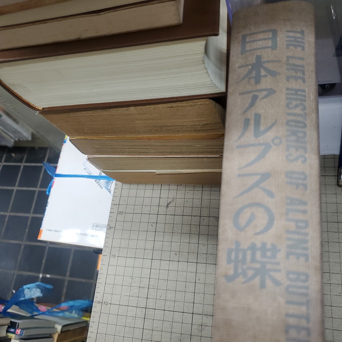 日本アルプスの蝶　田淵行男　学研　定価25000円