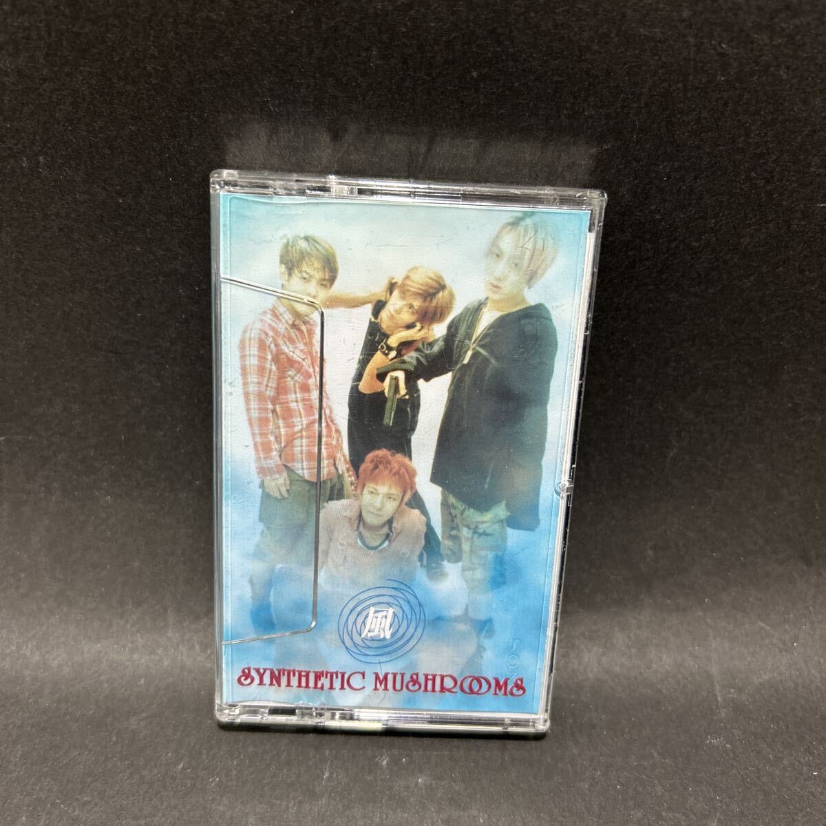 SYNTHETIC MUSHROOMS 風　　1990年代ヴィジュアル系バンド