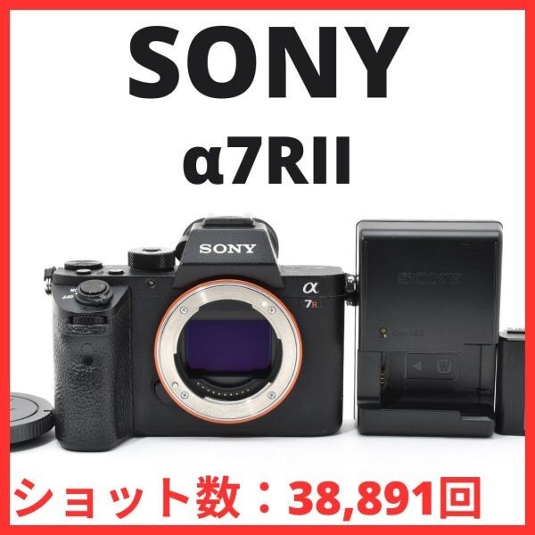 C07[7410]60 ソニー SONY α7RII ボディ ILCE-7RM2 【ショット数 38,891回】