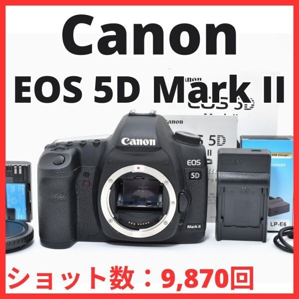 C13[7406]9 キヤノン Canon EOS 5D Mark II ボディ 【ショット数 9,870回】
