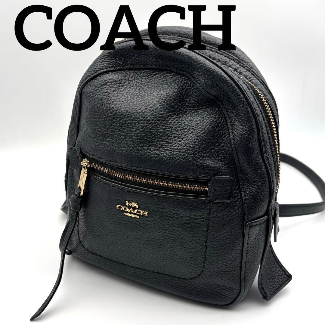 COACH コーチ アンディ ミニリュック レザー レディース F30530