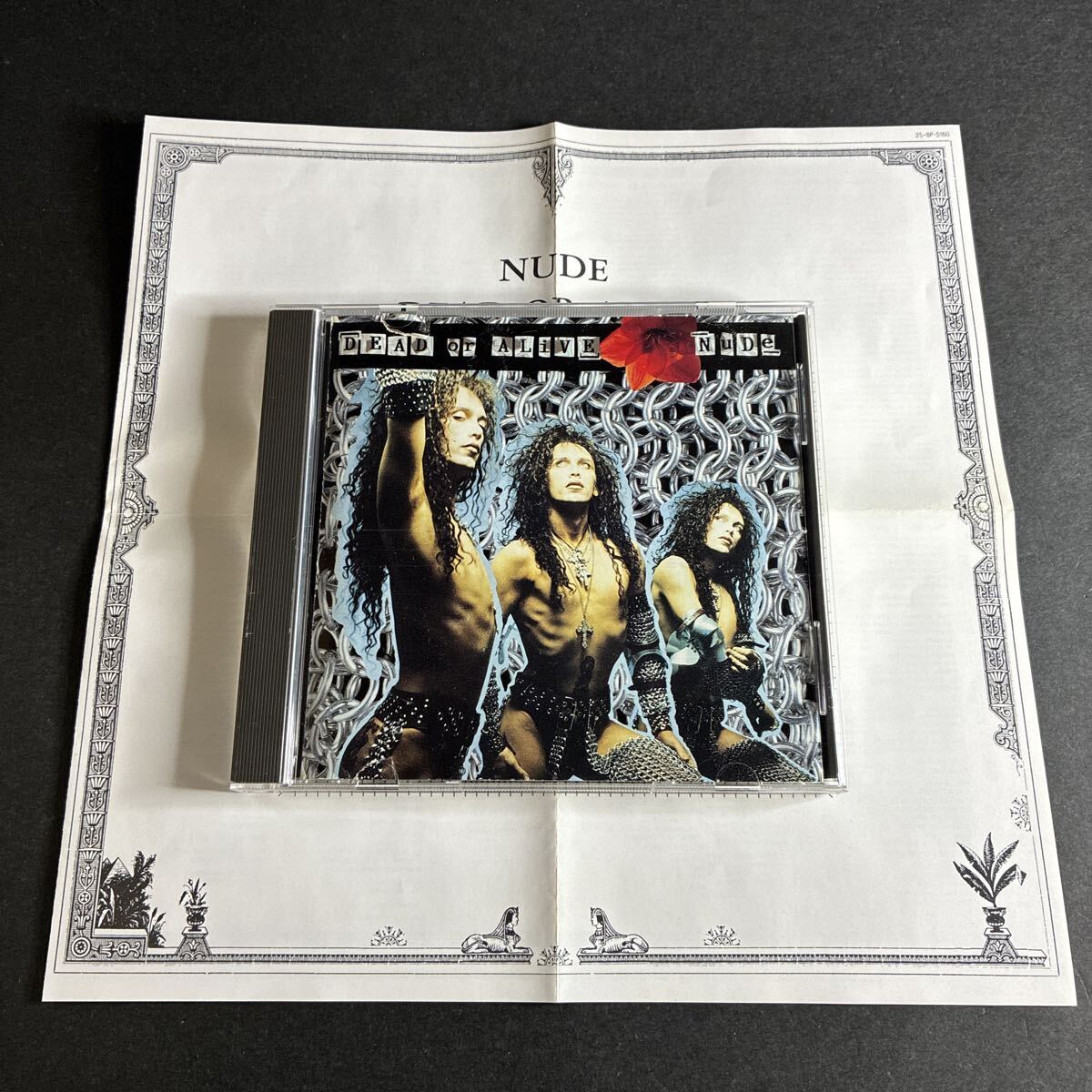 WY19 ヌード/デッドオアアライヴ DEAD OR ALIVE NUDE CD